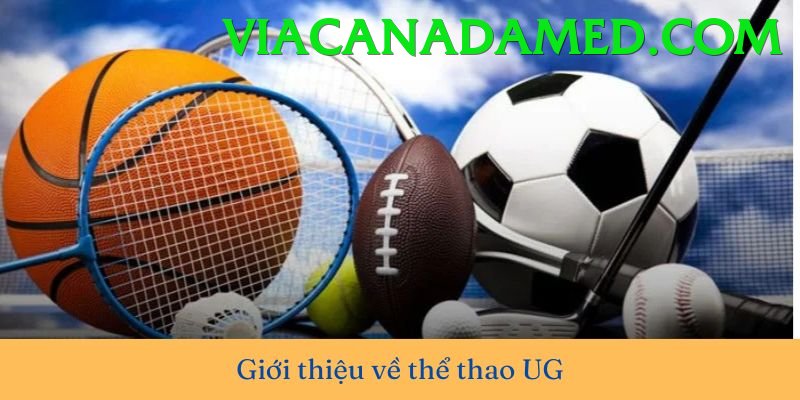 Cá Cược Thể Thao - Trải nghiệm tuyệt vời